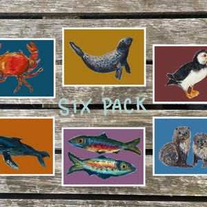 Conjunto de seis cartões-postais em pastel a óleo com animais marinhos escoceses, tamanho A6.