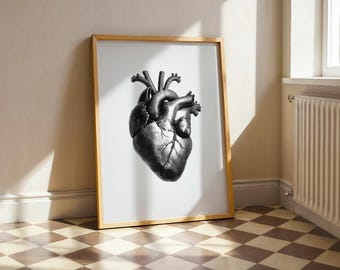 Printable Posters of Human Heart, Anatomical Art, Vintage Medical Decor, Digital Download for Home Wall Art