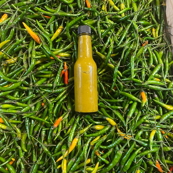 Chili Sauce Etsy