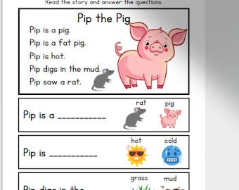 CVC Reading Comprehension Stories (Digital Download)