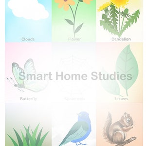 Nature Scavenger Hunt