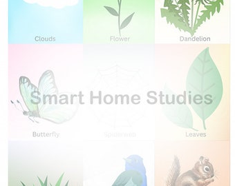 Nature Scavenger Hunt