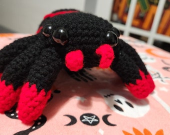 Black and red spider