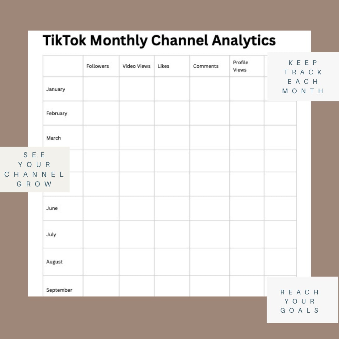Tiktok Monthly Analytics Tracker Tiktok Tracker - Etsy