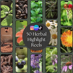 50 Herbal Highlight Reels, Herbalist Instagram Canva Templates, Wellness Social Media Pack for Holistic Coaches