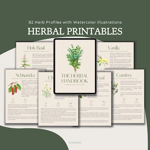 The Herbal Handbook, 82 Printable Herb Profiles for Botanical Reference • Guide to Medicinal and Magical Uses • PDF Digital Download + Canva