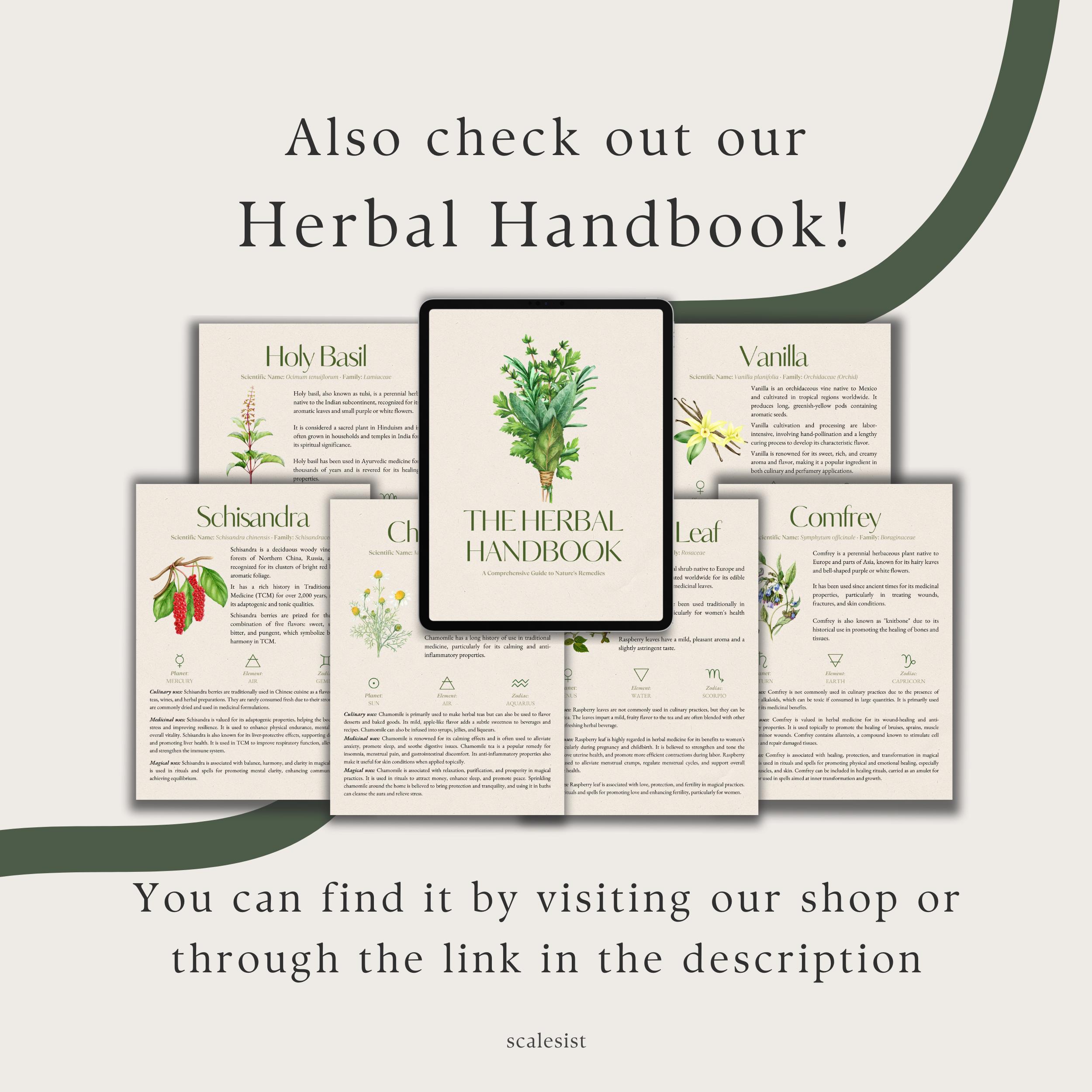 Herbal Tea Recipes, 20 Health-boosting Blends Mindful Holistic