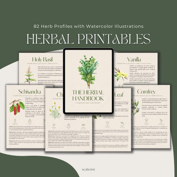 Herbal Monograph Template Materia Medica herbal Studies apothecary Herbal Monograph Template Materia Medica herbal Studies apothecary
