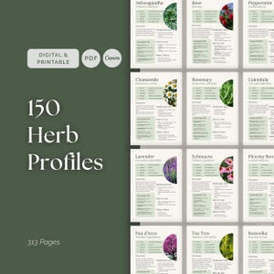 Peut inclure: Document numérique et imprimable de 150 profils d'herbes. La couverture présente le texte "150 Herb Profiles" en blanc, avec les icônes "Digital & Printable", "PDF" et "Canva". Le fond est vert foncé.