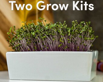 Double Microgreen Grow Kit Bundle - Twice the Superfoods at Home