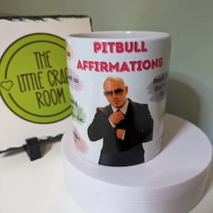 Mr Worldwide Pitbull affirmations meme funny gift mug