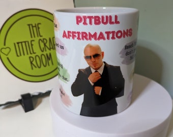 Mr Worldwide Pitbull affirmations meme funny gift mug