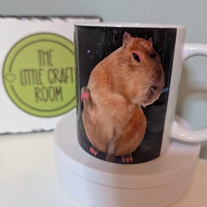 Another Day Another Slay Capybara Mug – Cute Funny Aesthetic Coffee Cup for Animal Lovers, Chill Vibes Gift, Kawaii Frogcore Style