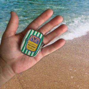 Pilulier Sardines : petite forme rectangulaire avec 2 compartiments - 6 variantes image 3