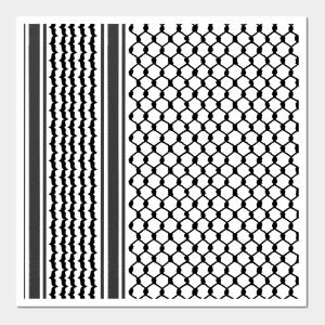 Palestinian kufyah pattern.
