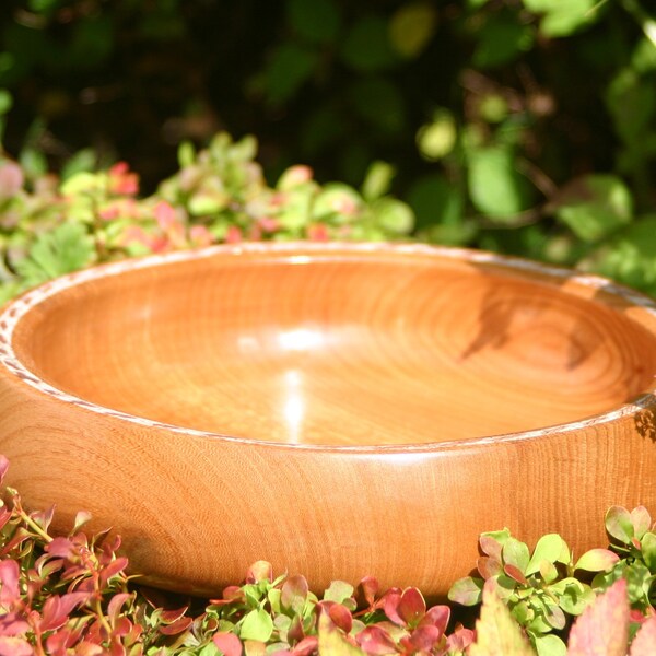Elm Wood Bowl Etsy