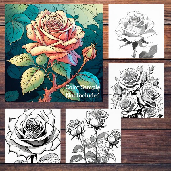 Colorful Roses Book Colorful Roses Coloring Book: 30 Pages (digital Download) - Etsy