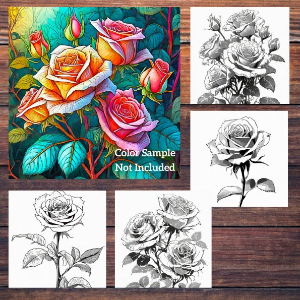 Colorful Roses Book Colorful Roses Coloring Book: 30 Pages (digital Download) - Etsy