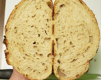 Olive Oil & Herb Sourdough Bread