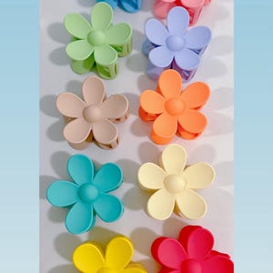 Matte Flower Hair Claw Clip: Acrylic Daisy Hair Accessory
