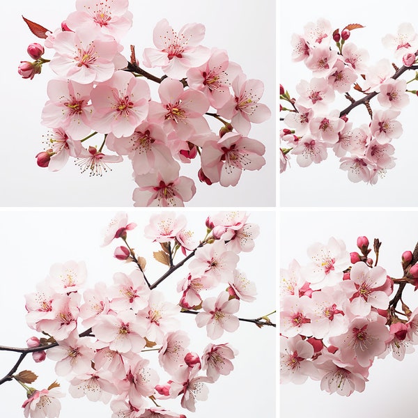 20 PNG Cherry Blossoms Set, Digital Print, Digital Download, Cherry Blossom Art, Flower Print, Clipart PNG, Instant Download, Commercial Use