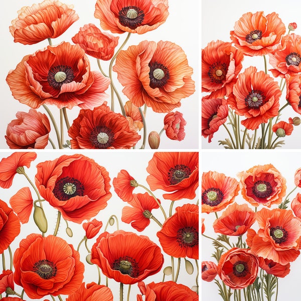 20 PNG Poppies Set, Digital Print, Digital Download, Poppy Art, Flower Print, Clipart PNG, Instant Download, Commercial Use