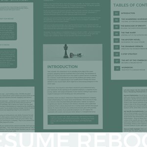 May include: A green and white guide with the title "Resume Reboot" and a table of contents listing chapters such as "The Wandering Warhead", "The Baracade of Brevity", and "The Art of the Comeback".