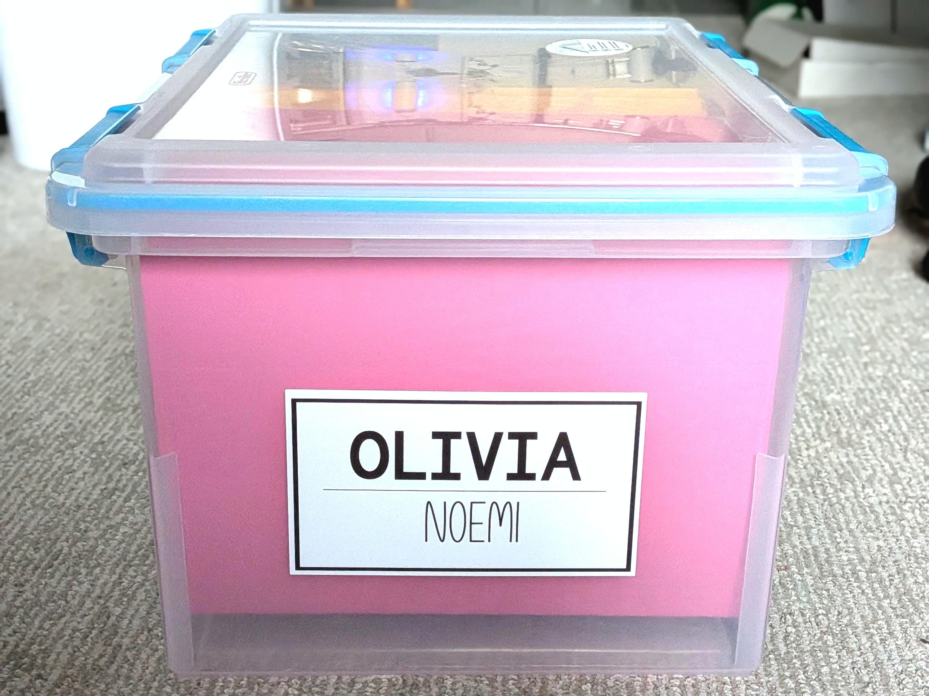 Kids Milestone Keepsake Box Kit, File Folders and Labels - Etsy