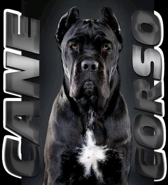I Love My Cane Corso