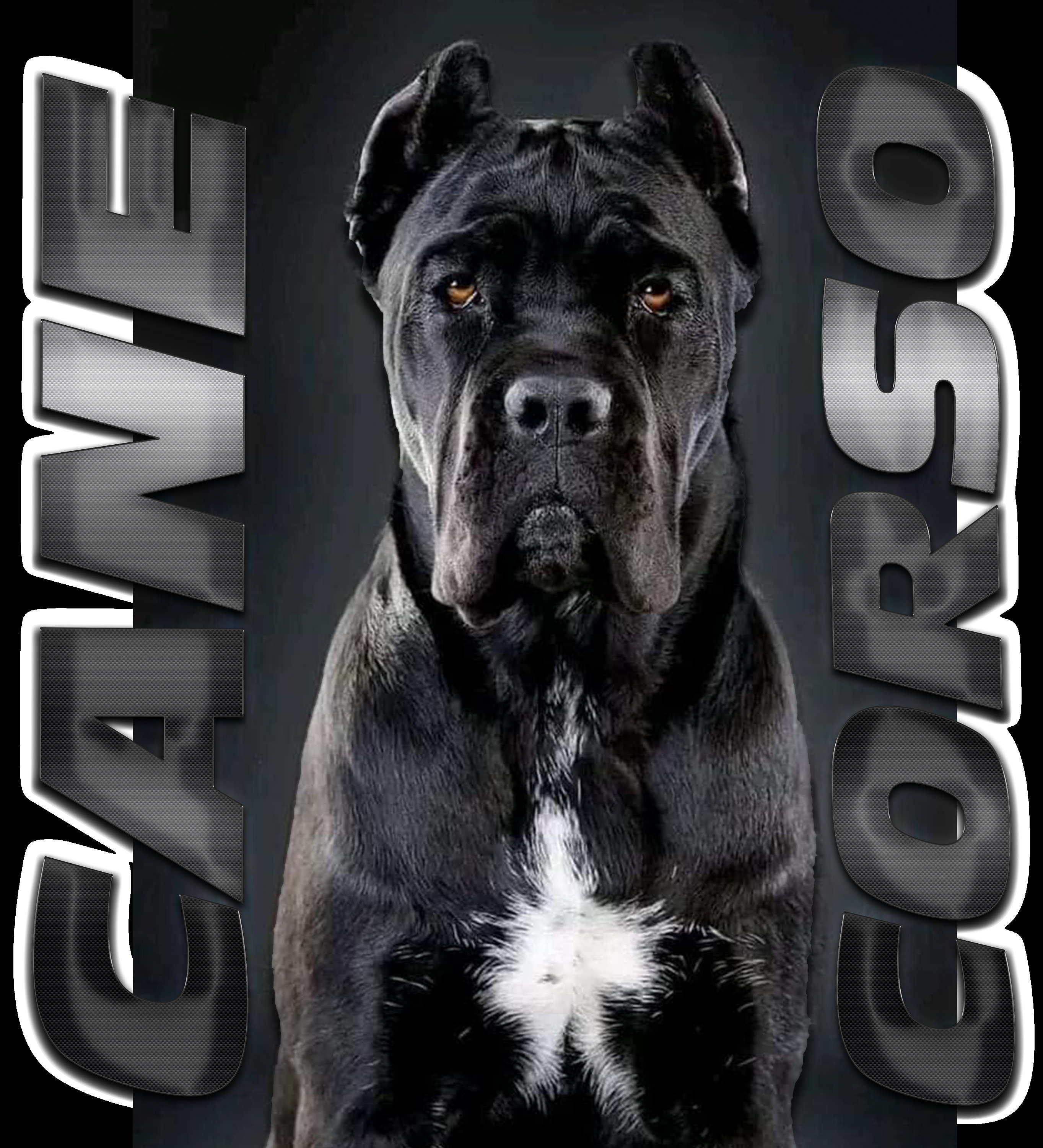 I Love My Cane Corso