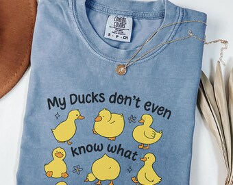 Comfort Colors® Ducks Not In A Row Shirt, Mental Health Tee, Sarcastic Shirt For Men and Women,Mental Health, Duck Lover Shirt Gift