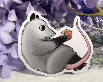 Opossum with D20 2.5" Vinyl Sticker - Dungeons and Dragons TTRPG Cute Animal Accessory and Decor