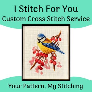 May include: Cross-stitch artwork of a blue, yellow, and white bird perched on a branch with red berries. The artwork is framed in a black frame. Text reads: "I Stitch For You Custom Cross Stitch Service Your Pattern, My Stitching."