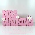 Personalized Teacher Name Plate, Daisy, Teacher Name Sign, Retro Name Sign, Groovy Name Plate, Teacher Gift, Daycare Gift, Office Name Plate