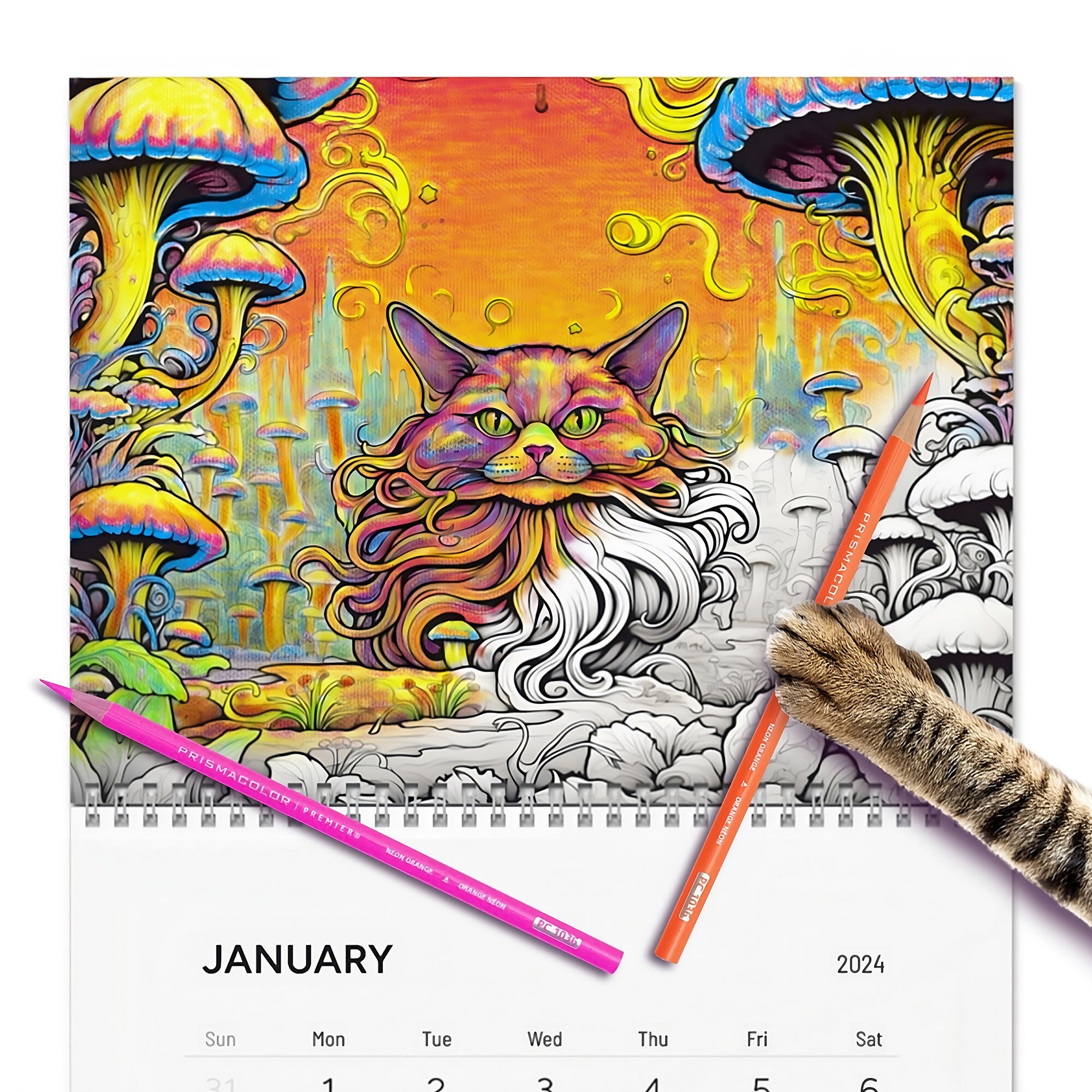 Coloring Wall Calendar 2025, 2025 Psychedelic Cats Calendar, 2025