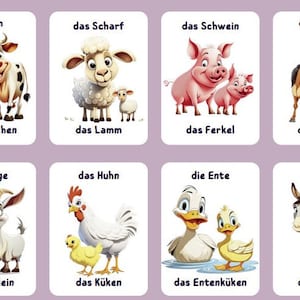Boerderijdieren • 10 kaarten • Flashcards Nomenclatuur FlashCards Kaarten voor kleuters Speelgoed Flashcard + gratis kleurboek
