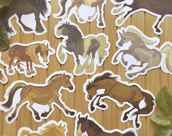 Horse Breeds | Sticker | Fjord, Clydesdale, Quarter Horse, Shetland Pony, Irish Cob, and more | Gifts for Equestrians and Horse Lovers