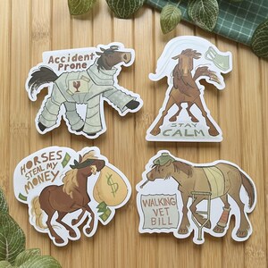 Silly Horses "Accident Prone" "Walking Vet Bill" "Stay Calm" "Horses Steal My Money" | Sticker | Gifts for Equestrians and Horse Lovers