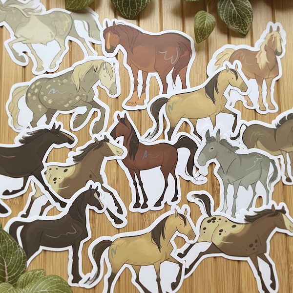 Horse Breeds | Sticker | Saddlebred, Appaloosa, Donkey, Icelandic Horse, Morgan Horse, and more | Gifts for Equestrians and Horse Lovers