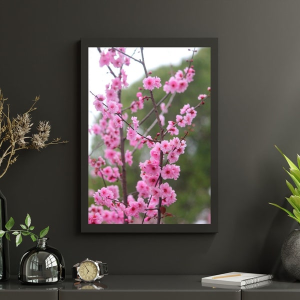 Sakura Flowers Style4 Photography Wall Print, Japanese Cherry Blossom, Pink Wall Art, Floral Bedroom Minimalist Home Decor, Digital Download