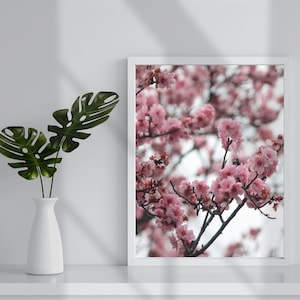 Sakura Flowers Style1 Photography Wall Print, Japanese Cherry Blossom, Pink Wall Art, Floral Bedroom Minimalist Home Decor, Digital Download