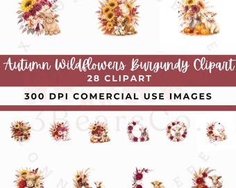 Autumn Wildflowers Clipart, Burgundy Watercolor Flower PNG (28 Files)