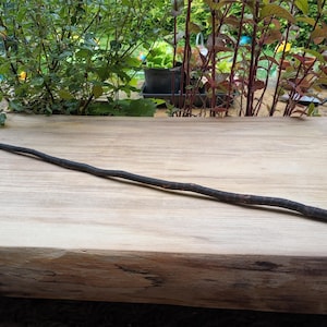 Hand Crafted West Country Hazel Wand - Chared  Striations Stripes Dark Wands