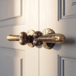 Brass Black Penis Door Handle, Vintage Home Decor, 18 Inch