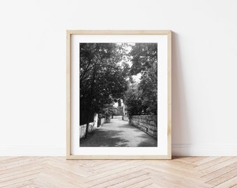 May include: Black and white photograph of a narrow street lined with trees and stone walls. The street leads to a building in the distance.