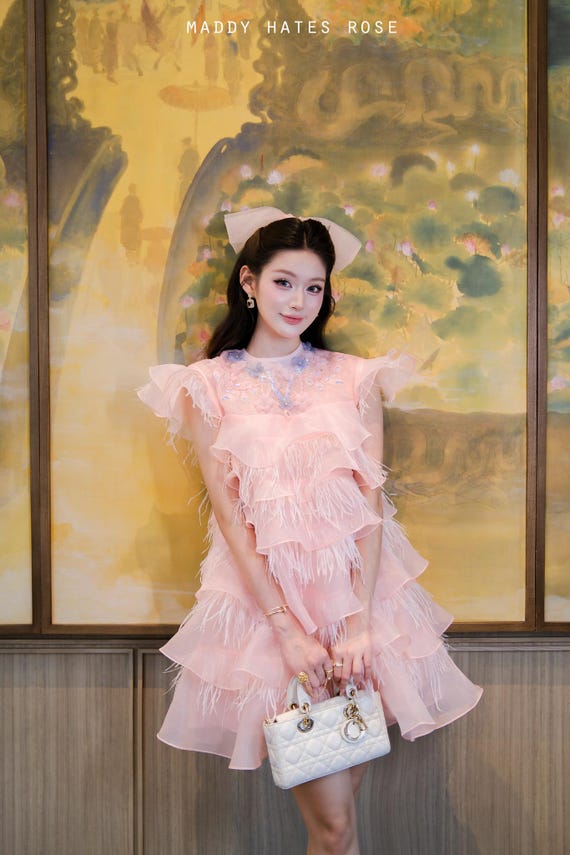 Pastel Pink Organza Feather Mini Dress, Fairy Princess Party Dress, Tiered  Tulle A-line Dress for Birthday, Photoshoot & Special Events - Etsy Israel