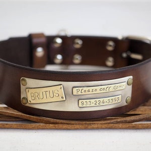 großes Hundehalsband, Hundehalsband, Hundehalsband Leder, Hundehalsband personalisiert, Hundehalsband aus Leder, mit Namensschild, Halsband in braun, graviert