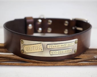 large dog collar, Dog Collar, dog collar leather, dog collar personalized, leather dog collar, with name plate, Collar in Brown,engraved,