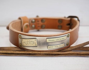 Dog Collar, dog collar leather, dog collar personalized, engraved, large dog collar, leather dog collar, with name plate, Collar in Brown