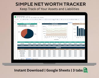 Foglio di calcolo per il monitoraggio del patrimonio netto per Google Fogli Dashboard Pianificatore finanziario Modello di attività e passività Calcolatore del patrimonio netto personale